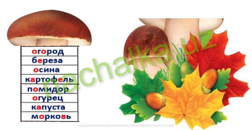 словарные слова на тему растения словарные слова на тему растения